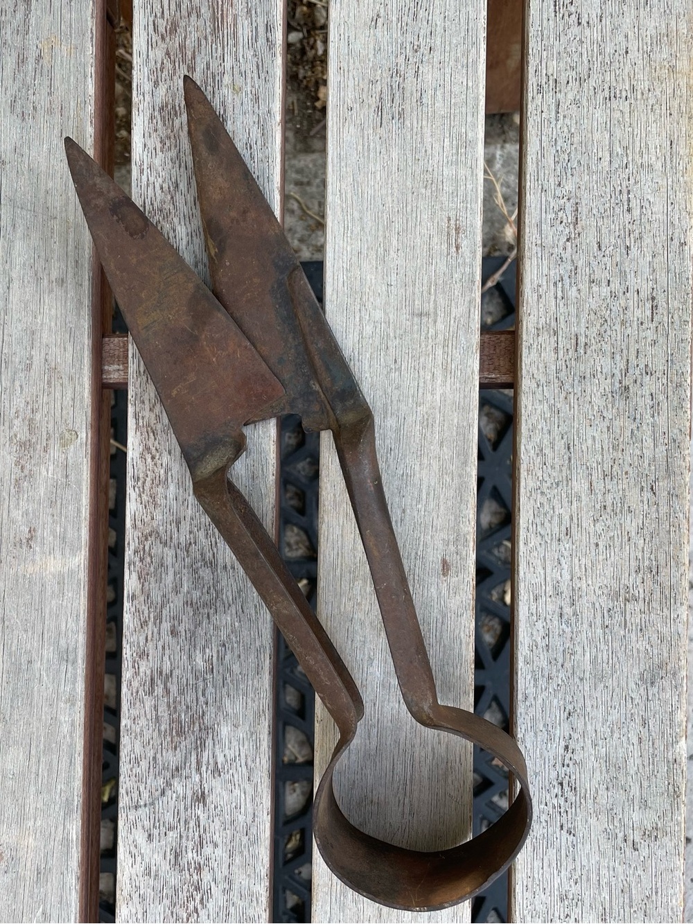 Vintage Antique Sheep Shears Primitive Farmhouse Decor Rustic Rusty Art Tool